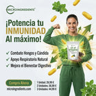 Aceite de Oregano | Elimina Hongos, Virus e Infecciones